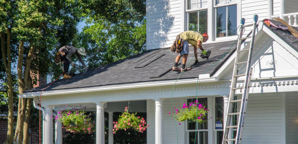 Best Roof Gutter Cleaning  in Tunnel Hill, GA